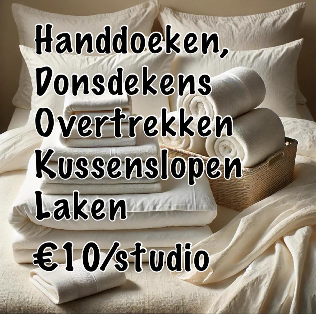 Nummer 151 Villastudios Hasselt Exterior foto